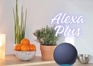 Leia mais sobre o artigo Amazon considera cobrar pelo uso da Alexa